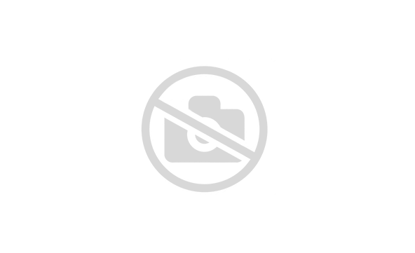 Утеплитель-шерстилайт (меринос + козий пух) 046-20791